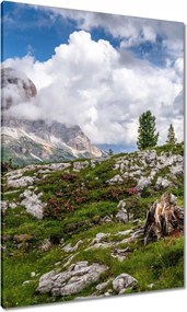 Vászonkép 70x100 Bárány a hegyekben Kilátás