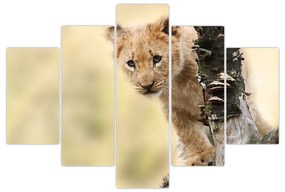 Egy oroszlán kölyök képe (150x105 cm)