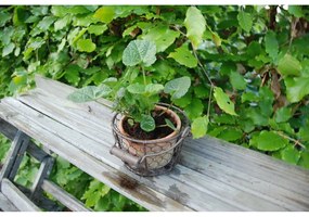 Terrakotta kézzel készített virágcserép ø 12 cm – Esschert Design
