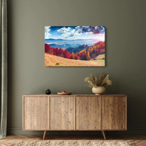 Egy kép egy színes őszi tájról (90x60 cm)