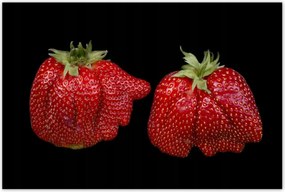 Poszterek 120x80 Nagy érett eper