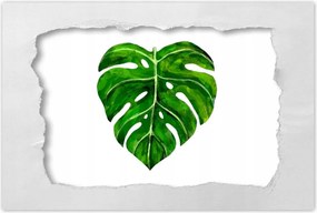 Poszterek 60x40 Modern levél motívum