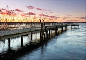 Fotótapéta Híd Gyönyörű Kilátás Fotótapéta 312 x 219 12651VEXXL