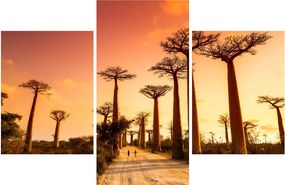 Kép - Naplemente a Baobab Alley-ben (90x60 cm)