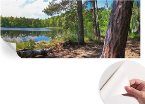 Fotótapéta Öntapadós Dekoratív tapéta Erdei táj 250x104 cm