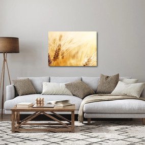 Kép - részlet gabona (70x50 cm)