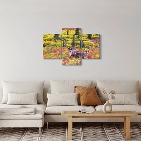 Kép - Caribou, Alaszka (90x60 cm)