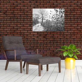 Kép - Mezők télen (70x50 cm)