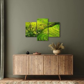 Kép - Rizs teraszok (90x60 cm)