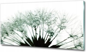 Fotó üvegkép Kék orchidea 100x70