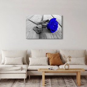 Kép - Kék rózsa (90x60 cm)