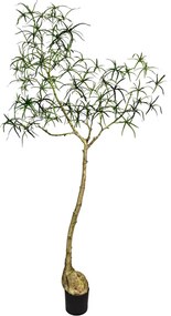 Pottery Pots Realisztikus műfa Queensland palackfa, több méretben - PotteryPots méret: XL - ø 80 cm | m. 240 cm