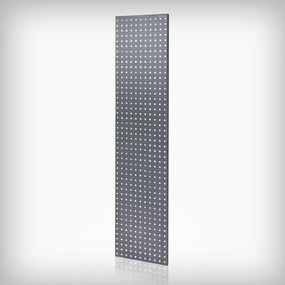 PerforĂĄlt tĂĄbla polchoz antracit: JOHNNY, 2 darab, 1800 x 20 x 420 mm