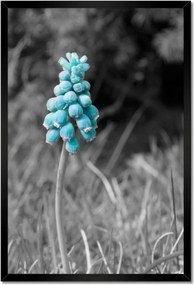 Poszter keretben 40x60 Türkiz virág