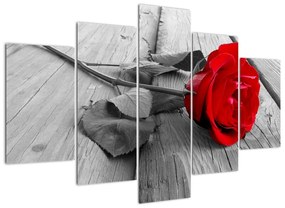 Kép - rózsa, piros virág (150x105cm)
