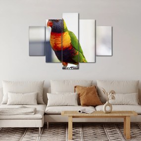 Papagáj képe (150x105 cm)