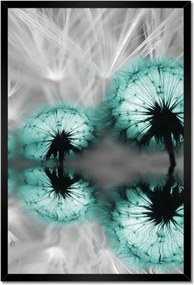 Poszterek keretben 40x60 Türkiz pitypang virág