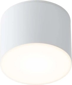 ANTIGO 7720 SUWA Hengeres Mennyezeti Lámpa Fehér GX53 IP44