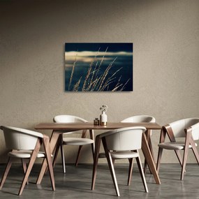 A füvek képe (üvegen) (70x50 cm)