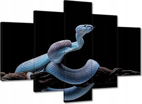 Képek 150x105 Kék kígyó