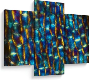 Kép - Sejtfal (90x60 cm)