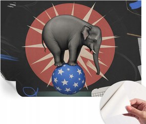 Fotótapéta Dekoratív Fali Tapéta Cirkusz Elefánt 152x104