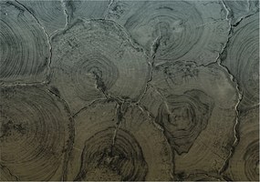 Fotótapéta Flizelin Dekoratív Hálószoba Fa tégelyek 208x146