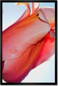 Poszterek keretben 40x60 Tulipánok Virágok