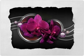 Poszterek 90x60 Orchidea Virág Virágok