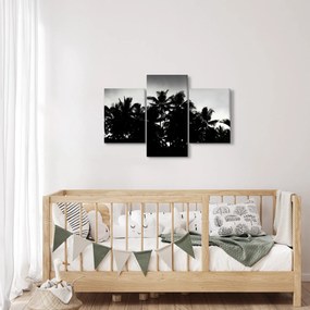 A fekete-fehér pálmafák képe (90x60 cm)
