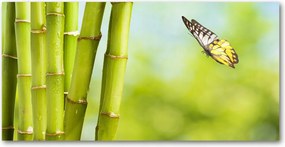 Fotó vászonkép edzett üveg Bambusz és pillangó 140x70