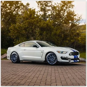 Poszterek 100x100 Ford Mustang Usa autó