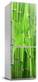 Matrica hűtőre Bambuszok FridgeStick-70x190-f-36350386