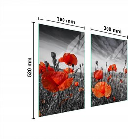 Üveg Konyhai Védőlap 65x52 Pipacs