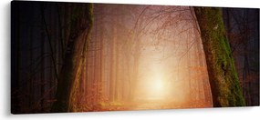 Őszi erdő képe a ködben (120x50 cm)