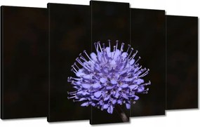 Vászonkép 100x60 Nőnap Ajándék Love