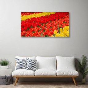 Vászonfotó tulipán virágok 140x70 cm