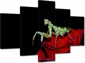 Vászonkép 150x105 Sáska piros virág