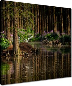 Vászonkép 50x50 Tájkép Látvány