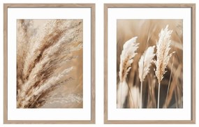 Kép szett 2 db-os 30x40 cm Selloana – Styler
