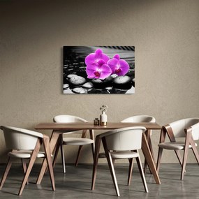 Kép - Lila orchideák (90x60 cm)