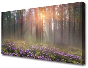 Canvas kép Forest Nature Flowers Plant 100x50 cm