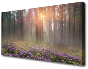 Canvas kép Forest Nature Flowers Plant 125x50 cm