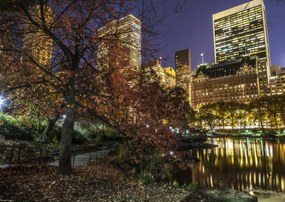 Poszter 42x29,7cm Esti kilátás a New York-i Central Parkra 3, Assaf Fra