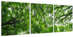 Kép - Kilátás a fák tetejére (órával) (90x30 cm)