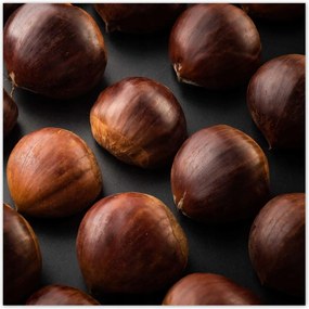 Poszterek 140x140 Kormány Ehető gesztenye