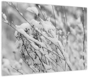 Kép - Havas ágak (70x50 cm)
