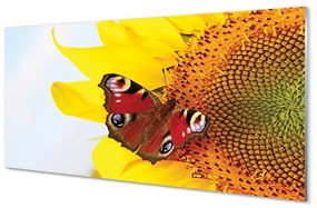 Akrilkép napraforgó pillangó 100x50 cm