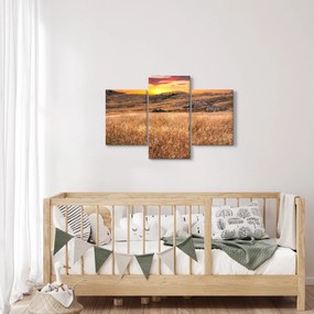 Mező képe (90x60 cm)