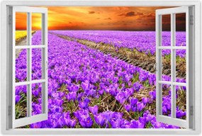 Poszterek 90x60 A krókuszok tengere